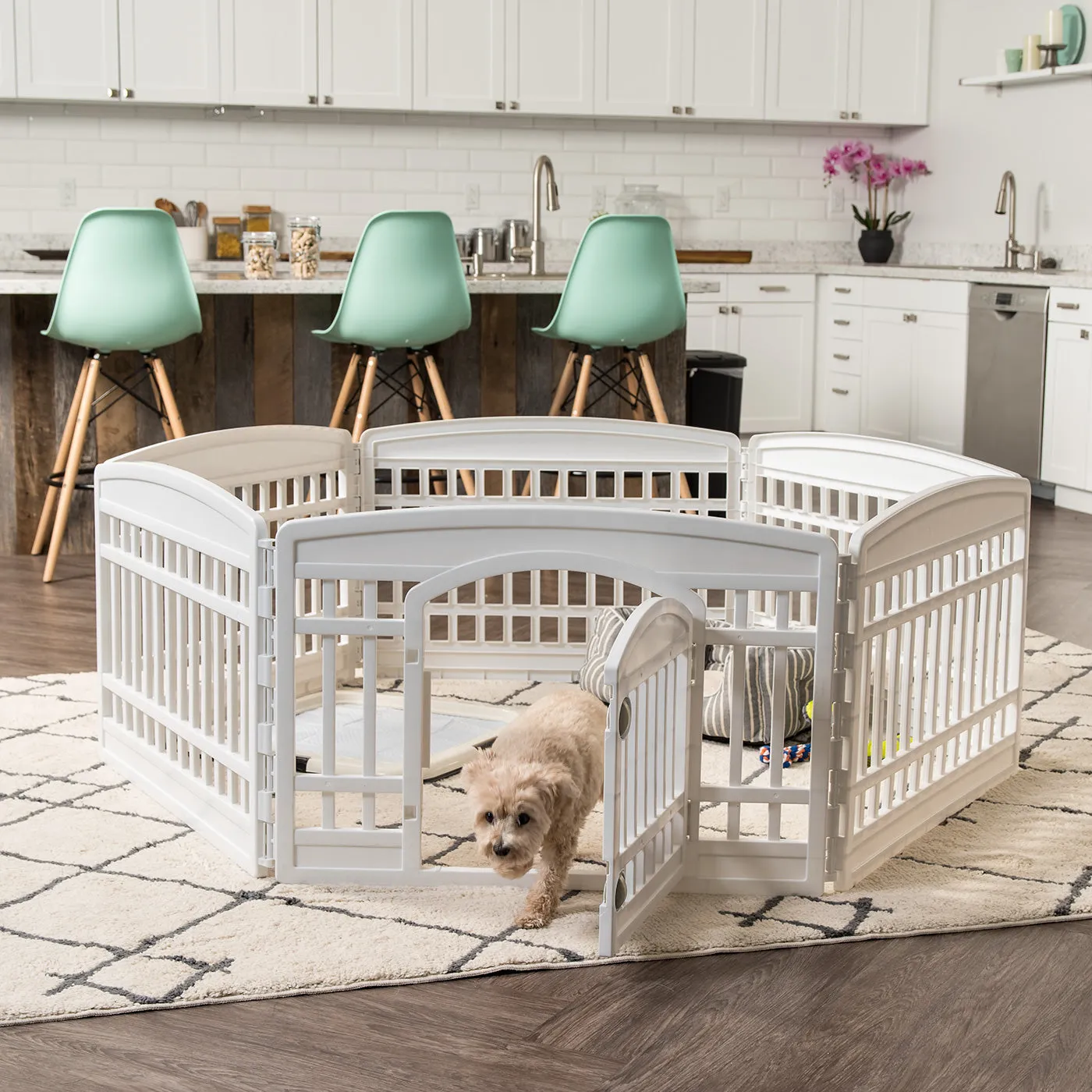 24-inch 6 Panel Exercise Pet Playpen with Door, White